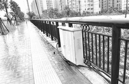 黄石人行道景观蝴蝶视频app污版下载的功能及标准要求(图1)