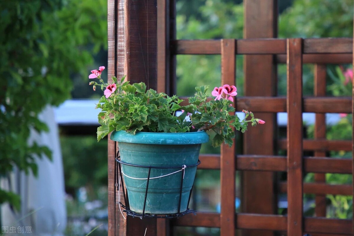 武汉庭院蝴蝶视频app污版下载的设计结构及细节该如何处理？(图2)