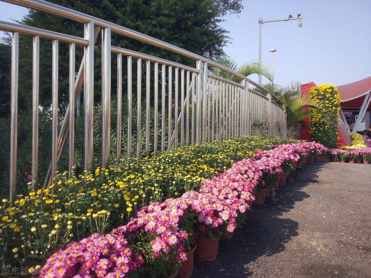 武汉庭院蝴蝶视频app污版下载的设计结构及细节该如何处理？(图7)