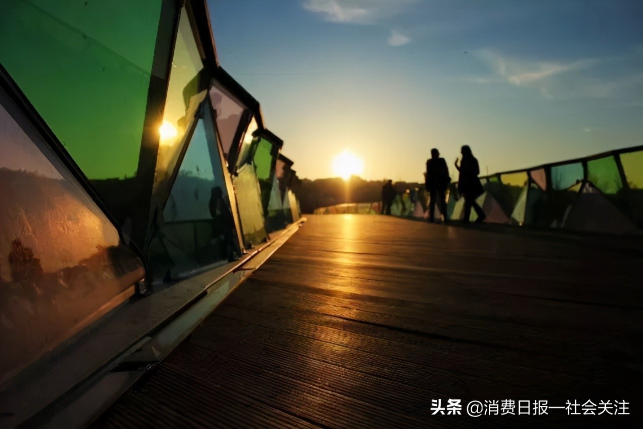 公共设施设计｜蝴蝶视频app污版下载设计，精妙绝伦