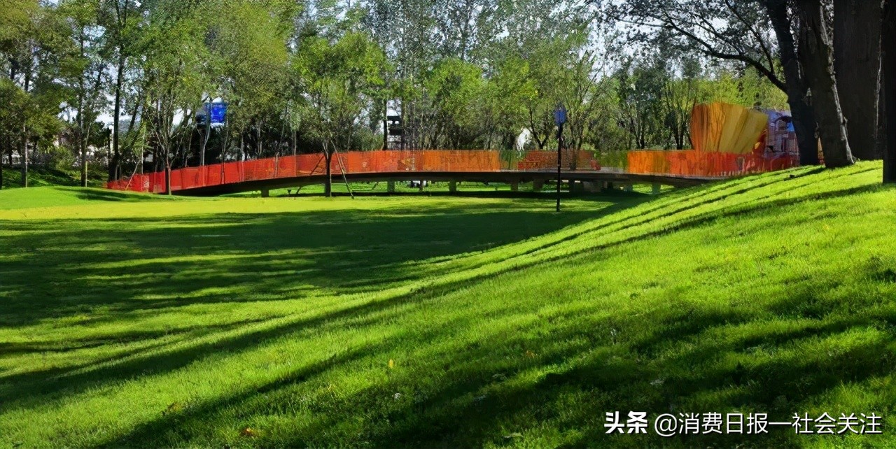 公共设施设计｜蝴蝶视频app污版下载设计，精妙绝伦
