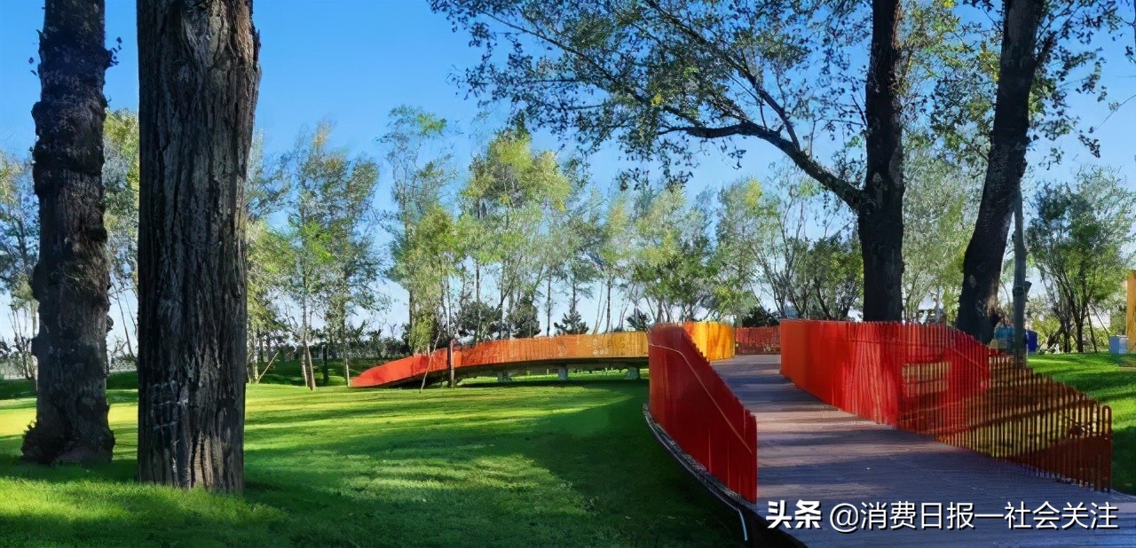 公共设施设计｜蝴蝶视频app污版下载设计，精妙绝伦