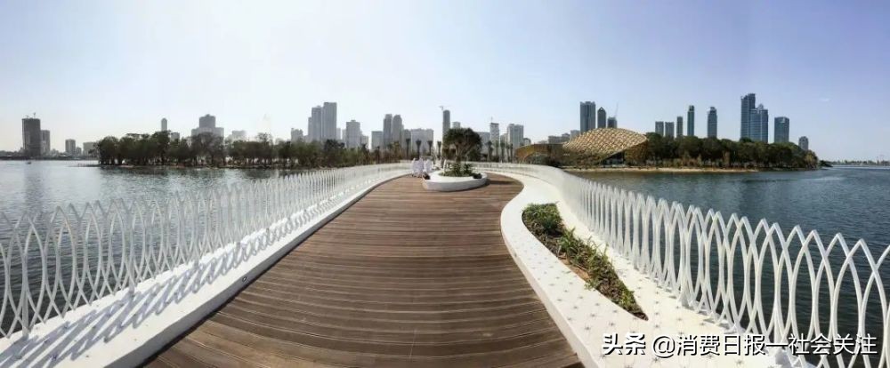 公共设施设计｜蝴蝶视频app污版下载设计，精妙绝伦