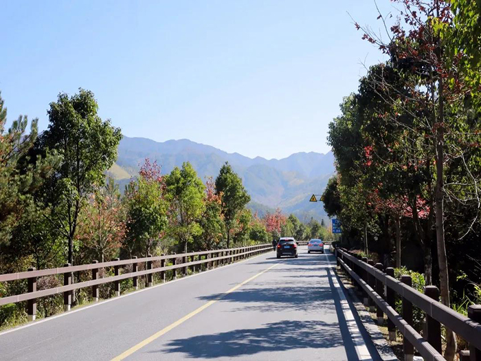 玻璃钢木纹蝴蝶视频app污版下载让美丽公路风景更靓丽